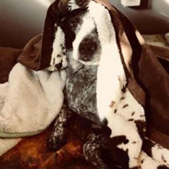 Meet your Posher, Jessica - Picture 5 of 8